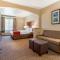 Comfort Inn & Suites Galt - Lodi North