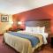 Comfort Inn - Oxon Hill