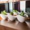 Hotel Bograd - Apartments & Lounge Station