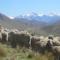 Foto: Dunstan Downs High Country Sheep Station 16/51