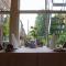 The Sycamore Guest House