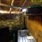 Sheba Rock Guesthouse