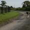 Moate Lodge