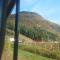 Hytte i Stryn med elbil lader
