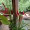 The Canale Boutique Stay Koh Kood