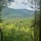 Mountain-top Cabin Get-away with Hot tub and a View