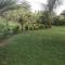 Green Zion Garden