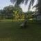 Green Zion Garden