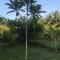 Green Zion Garden