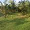 Green Zion Garden