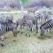 Kruger Riverside Lodge - No Load-shedding - Marloth Park