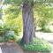 Andelomi Natures Rest