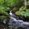 The Coylet Inn by Loch Eck - Dunoon