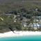 Black Wattle at Hyams Beach - Hyams Beach