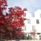 Hotel Engl