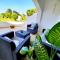 Quinta Do Moinho De Vento - Duna Parque Resorts & Hotels