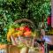 Hostly - Country House Donoratico - ONLY FOR FAMILIES
