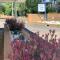 Gilgandra Motel