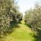 Agriturismo Marani