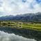 Fraaigelegen Farm - Home of ADHARA EVOO