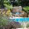 Wonderful villa Palera II with pool, immersed in the nature near the beach - 利兹扬