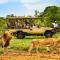 Honeyguide Tented Safari Camp - Khoka Moya - rezervácia voľne žijúcej zveri Manyeleti