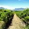 Wedgeview Country House & Spa - Stellenbosch