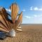 Shellseekers - Aldeburgh