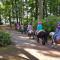 Große Ferienwohnung, auf Bauernhof mit Ponys und Pferden, ländli