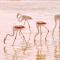 Lagoon View Self Catering - Walvis Bay