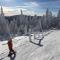 Ferienwohnung direkt am Ski und Rodelhang