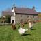 Nantgwynfaen Organic Farm Wales - Llandysul