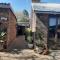 Zebra Guesthouse - Lephalale