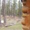 Trails End Lodge - Custer