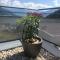 Penthouse Sonnberg - Zell am See