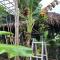 Bầu Bí Mini Farmstay Mekong - Tiền Giang