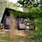 Trees House Parang