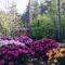 Luxury Villa Borina