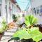 Gubeikou Great Wall Chengtaoxiaozhu Boutique Homestay