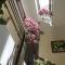 Pretty Backpackers House