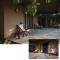 Vanaashrya Resort and Spa Sariska - Tehla