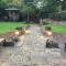 Queens Guesthouse Manchester