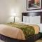 Econo Lodge & Suites Grand Rapids Airport