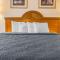 Quality Inn I-94 near Wings Stadium - 卡拉马祖