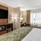 Comfort Inn & Suites Dimondale - Lansing - Dimondale