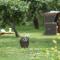 Severin's Resort & Spa - Keitum