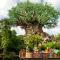 Holiday Inn Orlando – Disney Springs® Area by IHG