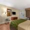 Econo Lodge Inn & Suites Lugoff