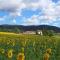 Appartamenti con cucina nelle colline toscane - Anghiari