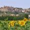 Appartamenti con cucina nelle colline toscane